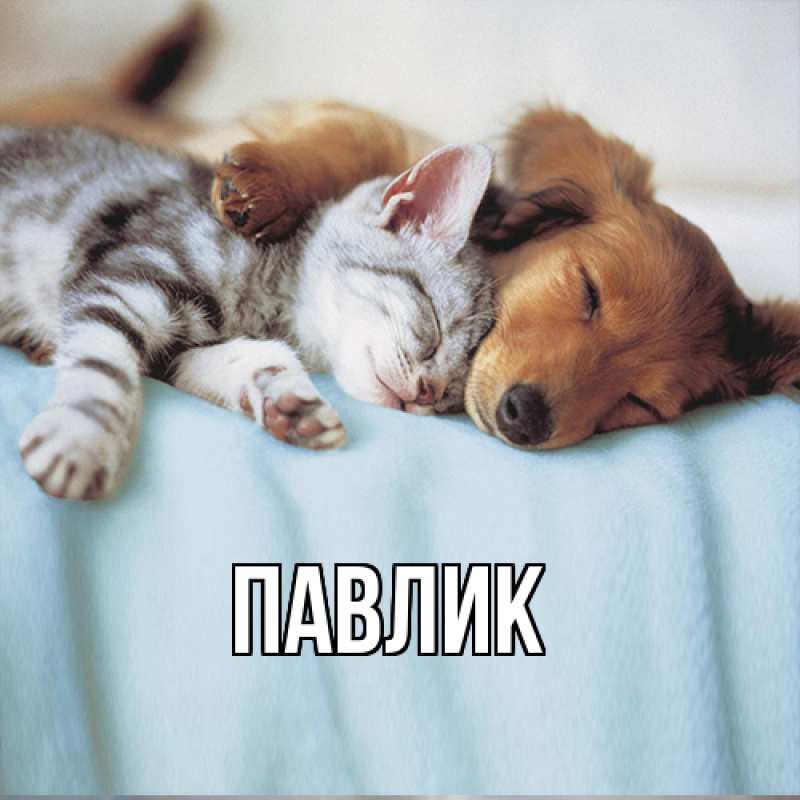 Картинка  с именем , Павлик