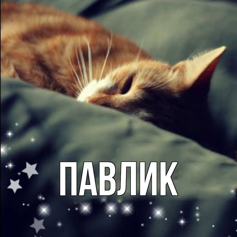 Открытка  с именем. Павлик, Главная  