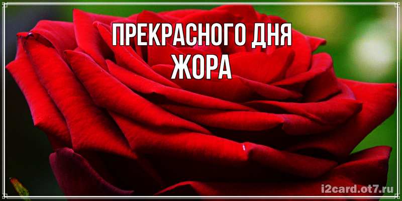 Открытка с именем, Жора, Прекрасного дня