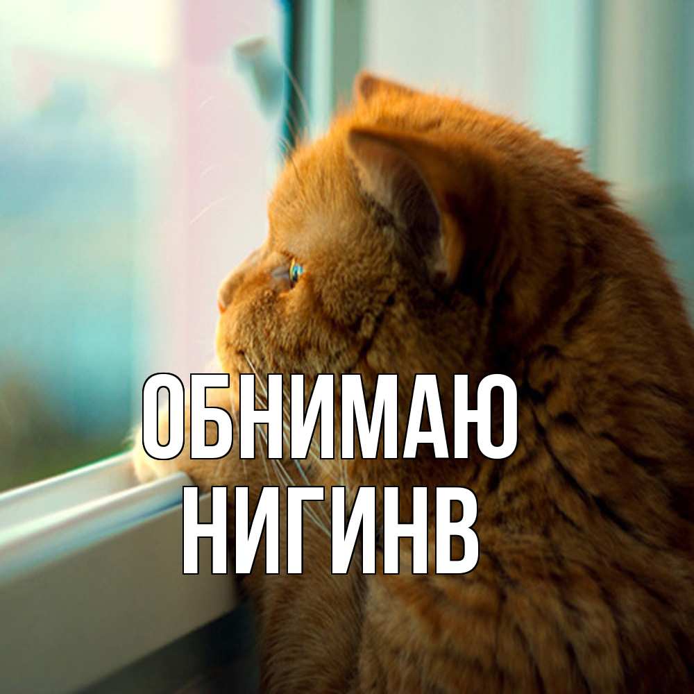 Открытка  с именем. Нигинв, Обнимаю  