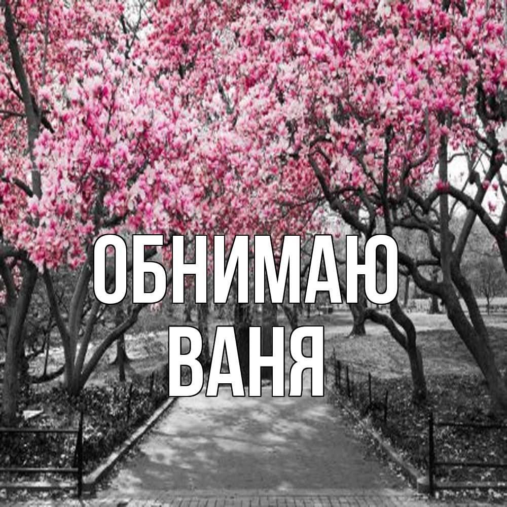 Открытка  с именем. ваня, Обнимаю  