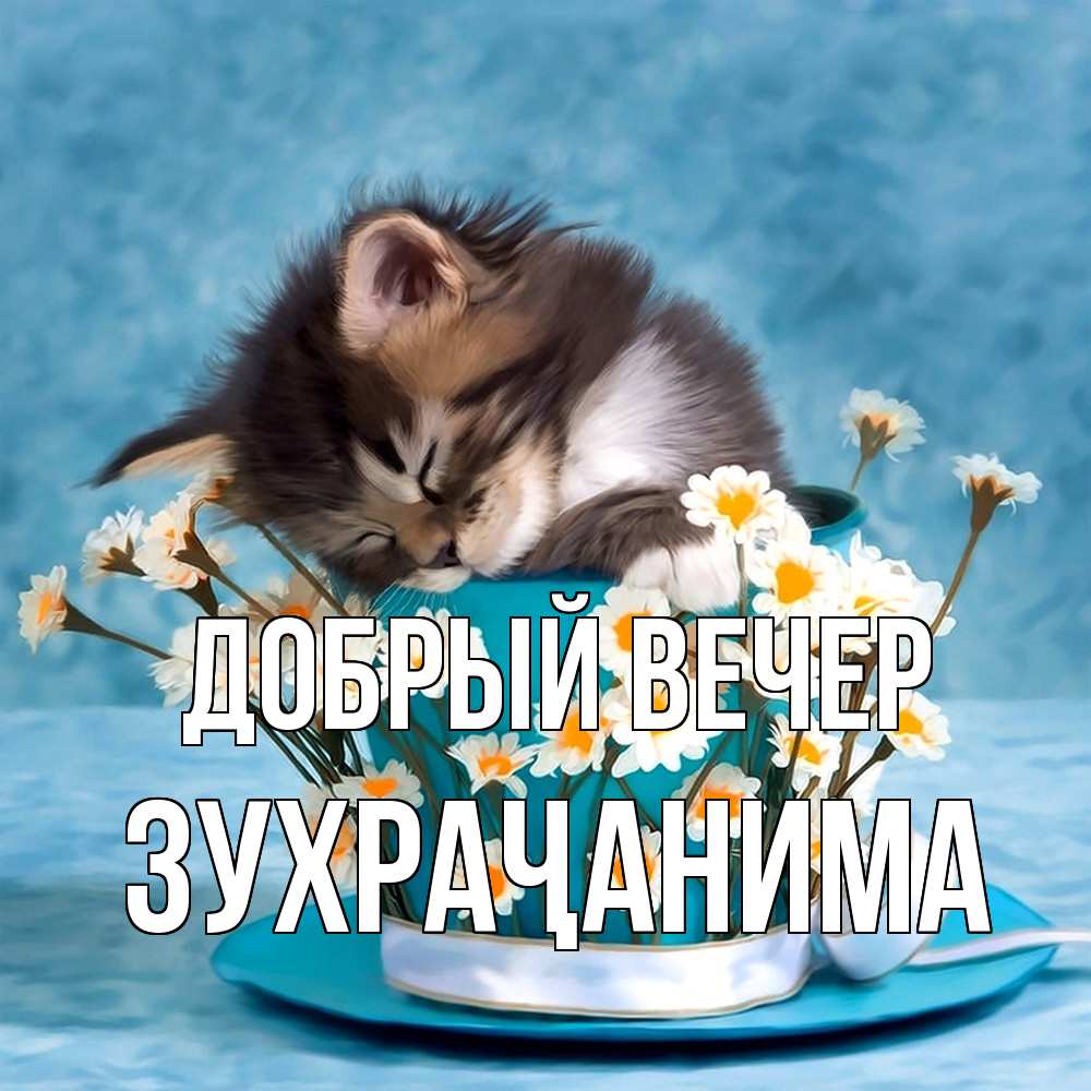 Открытка  с именем. Зухраҷанима, Добрый вечер  