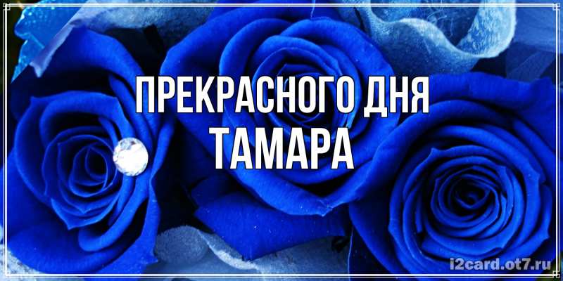 Картинка Прекрасного дня, Тамара