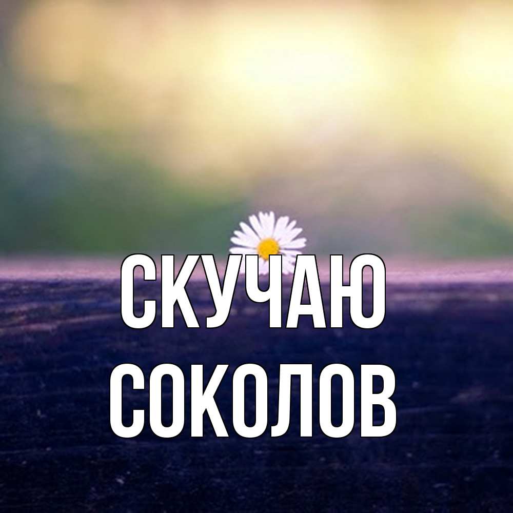 Открытка  с именем. Соколов, Скучаю  