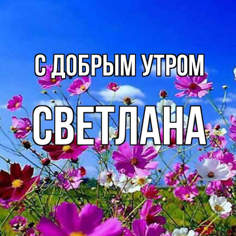 Картинка С добрым утром, Светлана