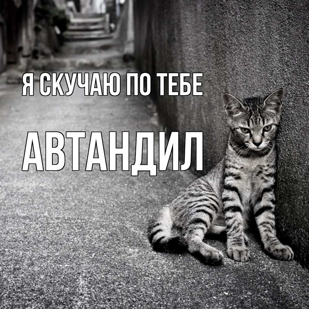 Открытка  с именем. Автандил, Я скучаю по тебе  