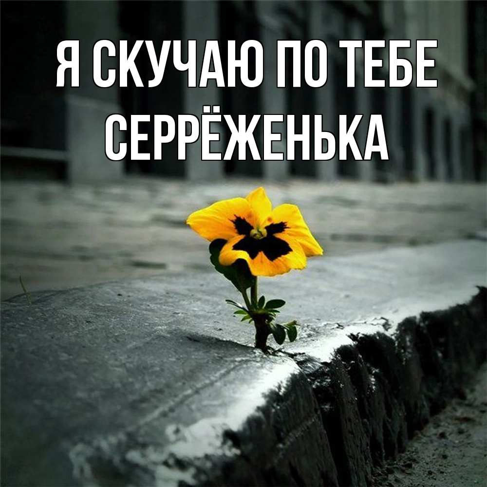 Открытка  с именем. Серрёженька, Я скучаю по тебе  