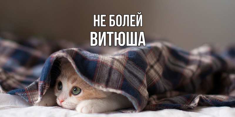 Картинка Не болей, Витюша