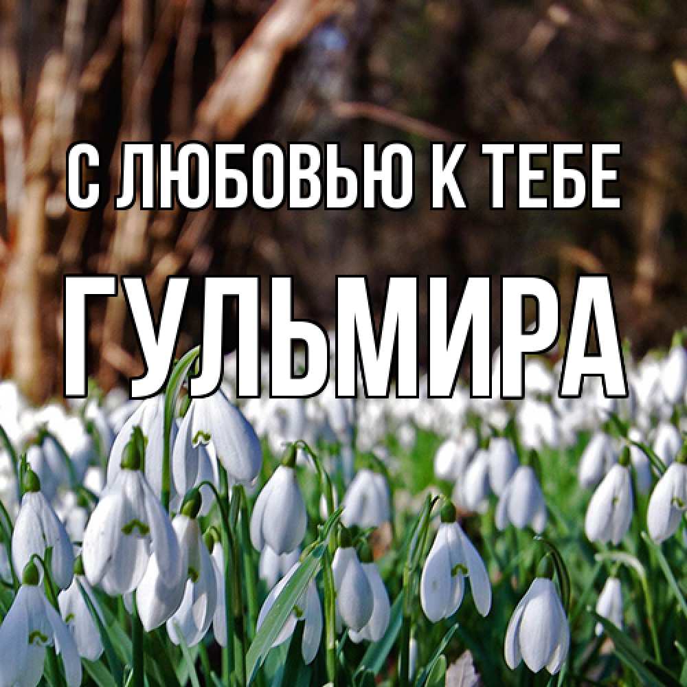 Открытка  с именем. Гульмира, С любовью к тебе  