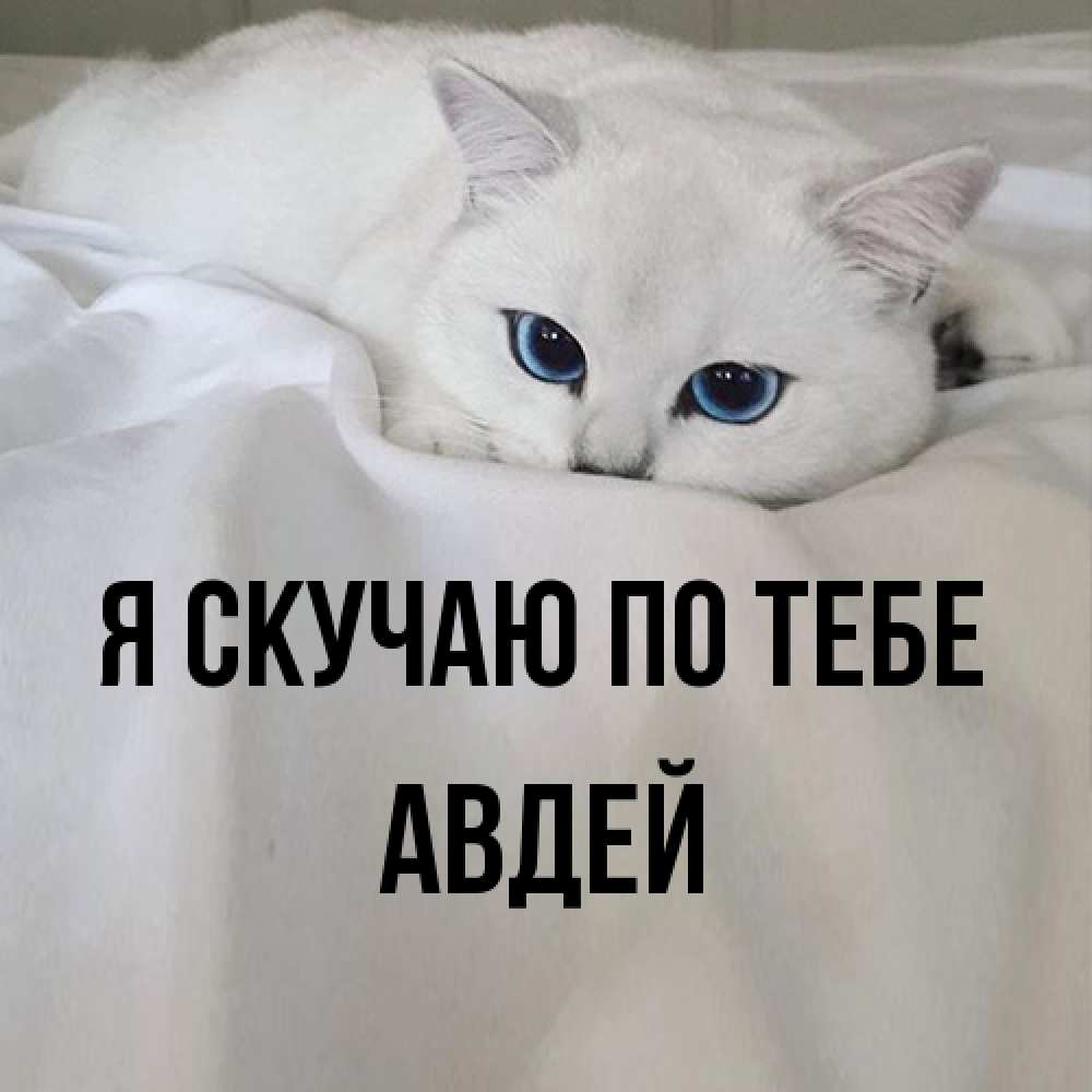 Открытка  с именем. Авдей, Я скучаю по тебе  