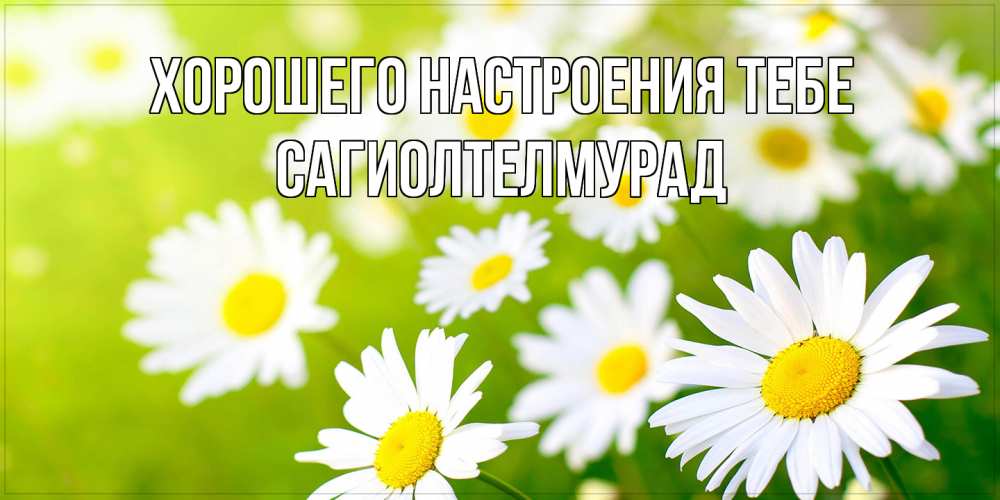 Открытка  с именем. САГИОЛТЕЛМУРАД, Хорошего настроения тебе  