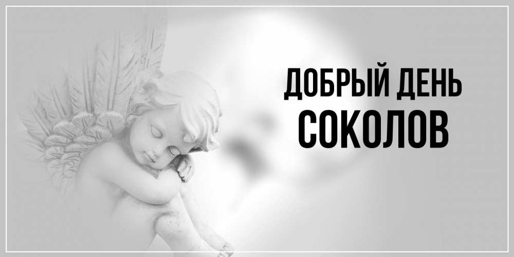 Открытка  с именем. Соколов, Добрый день  