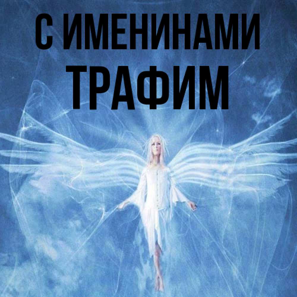 Открытка  с именем. трафим, С именинами  