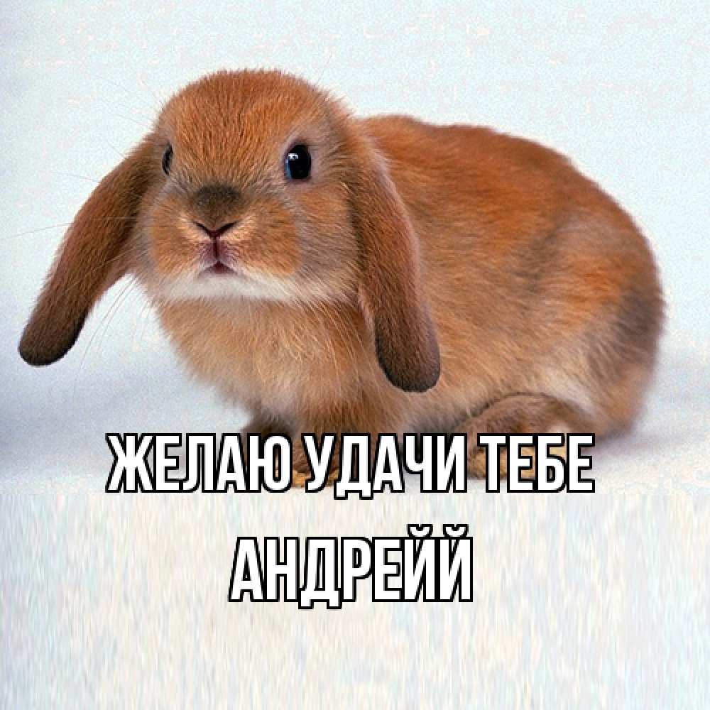 Открытка  с именем. Андрейй, Желаю удачи тебе  