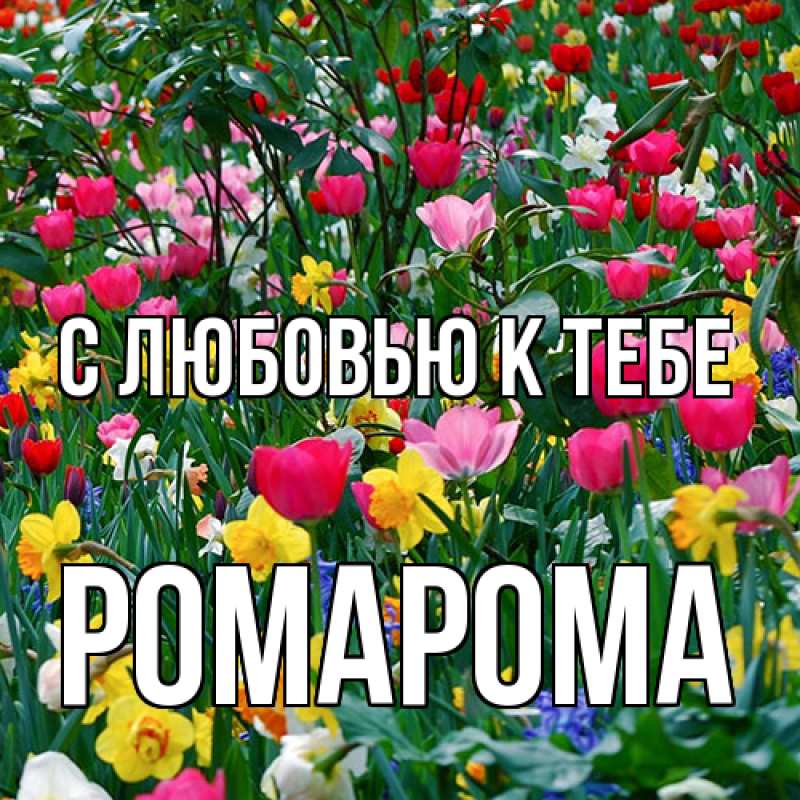 Картинка С любовью к тебе, РомаРома