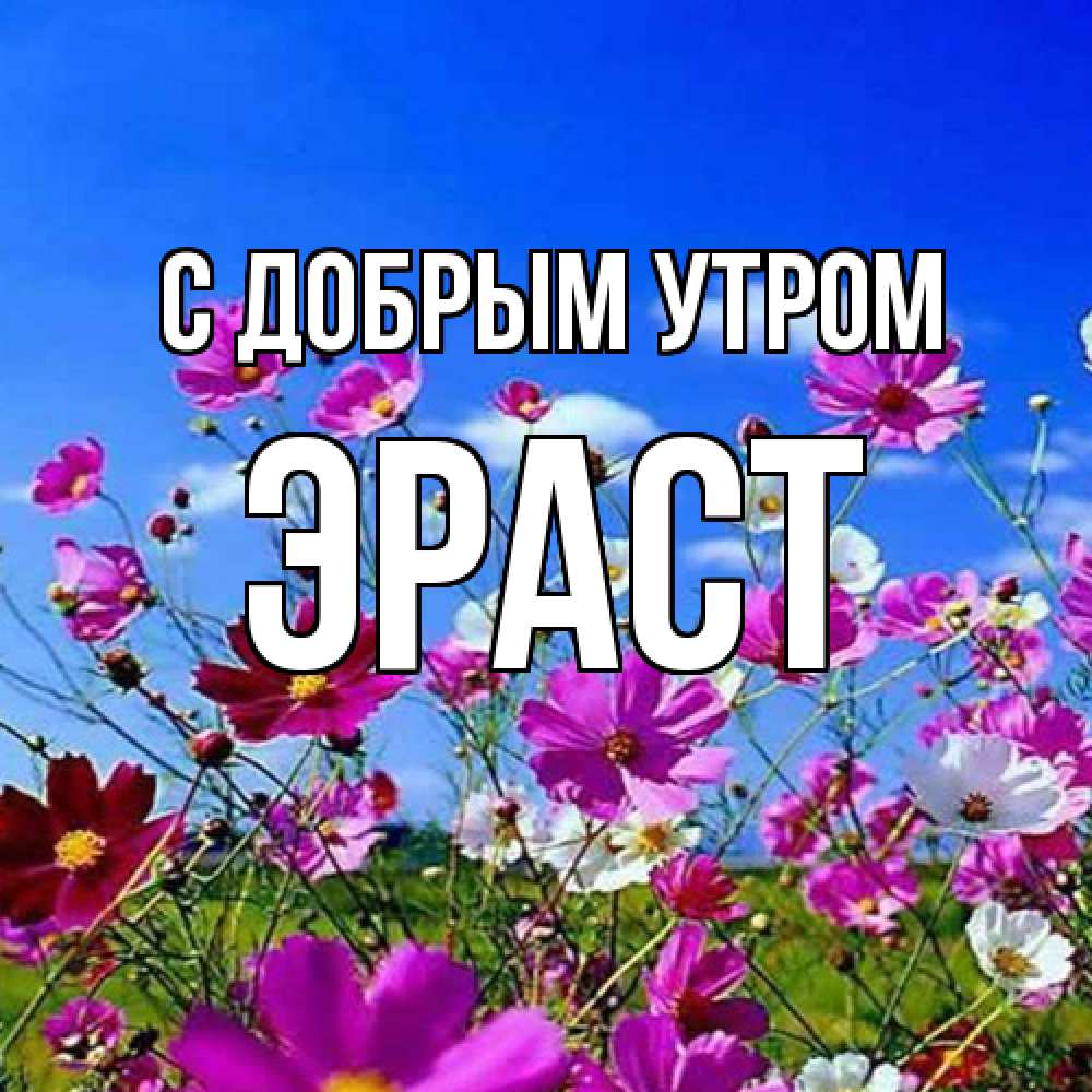 Открытка  с именем. Эраст, С добрым утром  