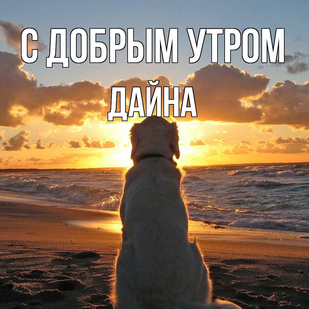 Открытка  с именем. Дайна, С добрым утром  