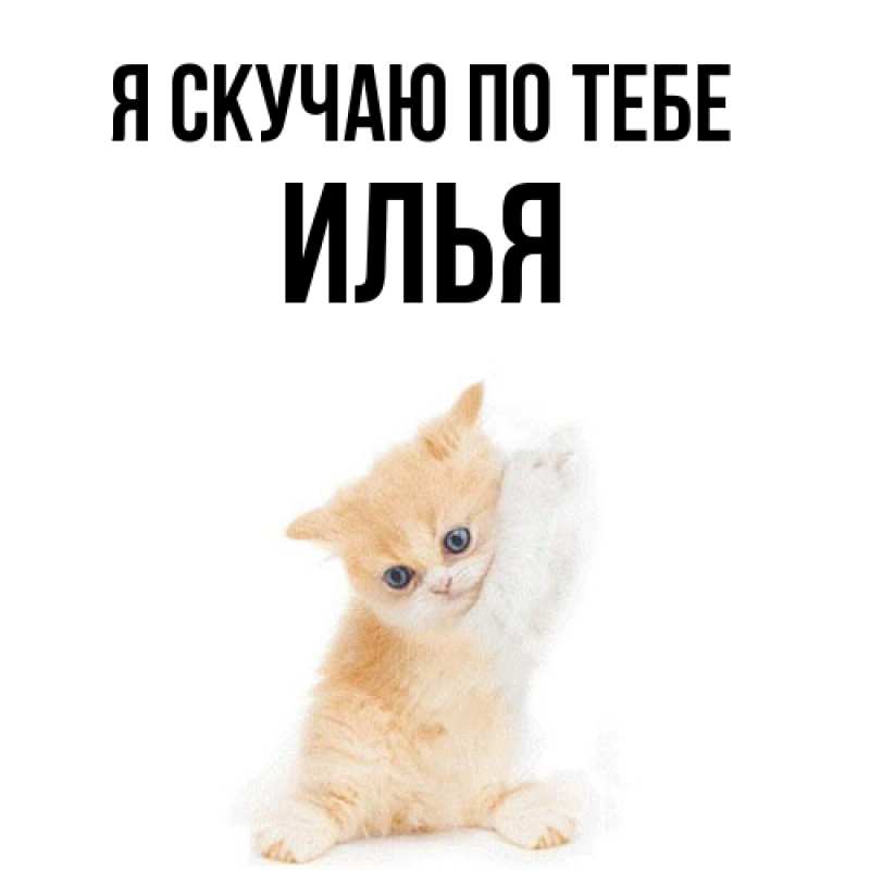 Картинка Я скучаю по тебе, Илья