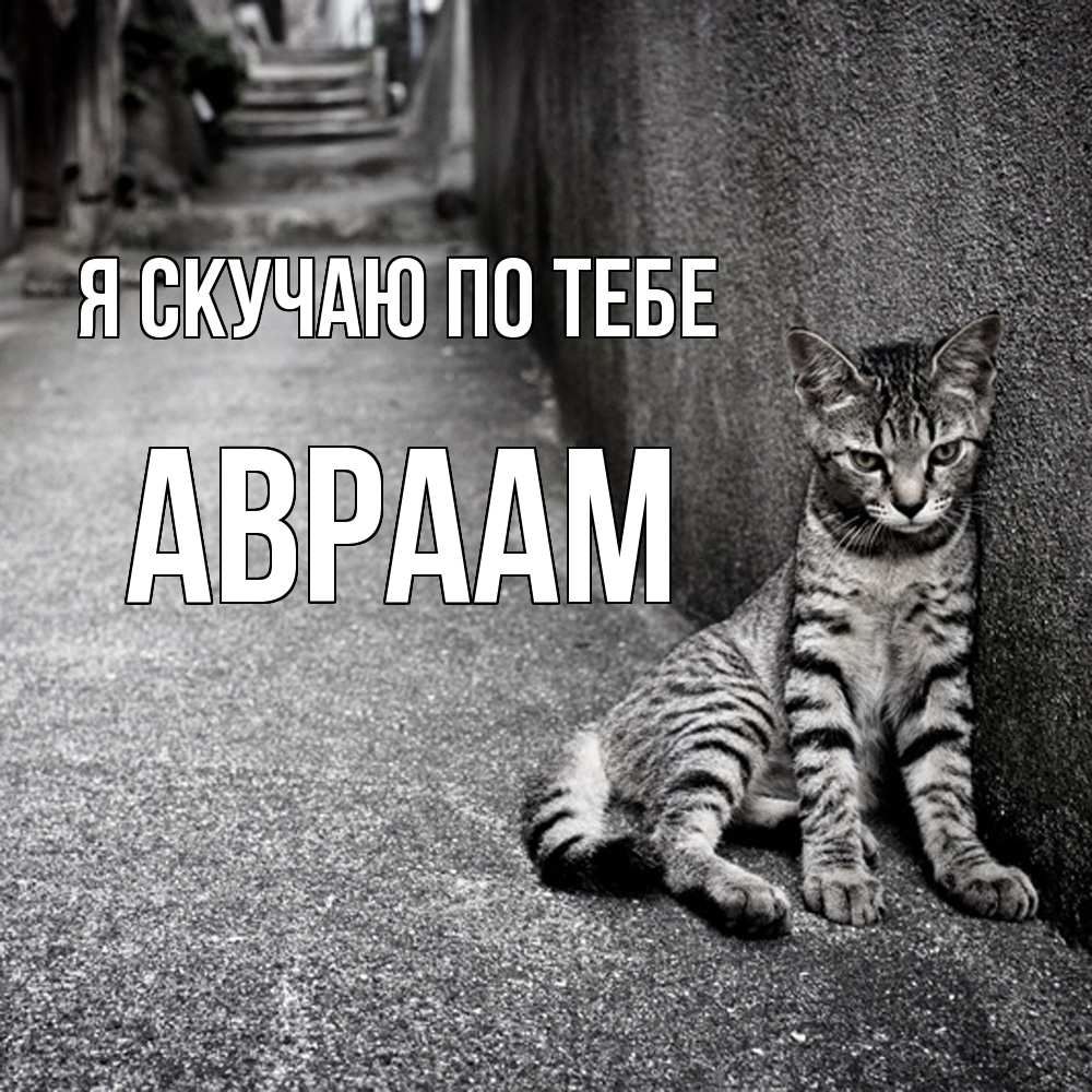 Открытка  с именем. Авраам, Я скучаю по тебе  