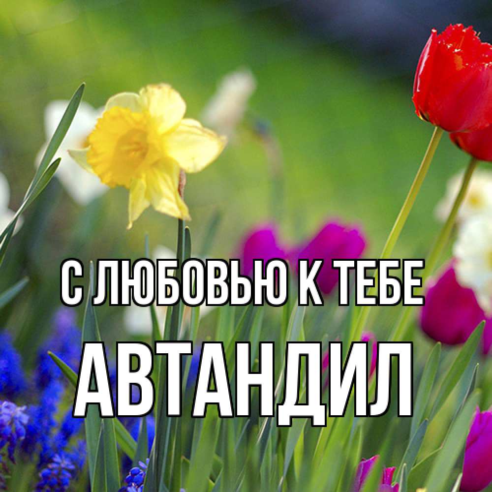 Открытка  с именем. Автандил, С любовью к тебе  