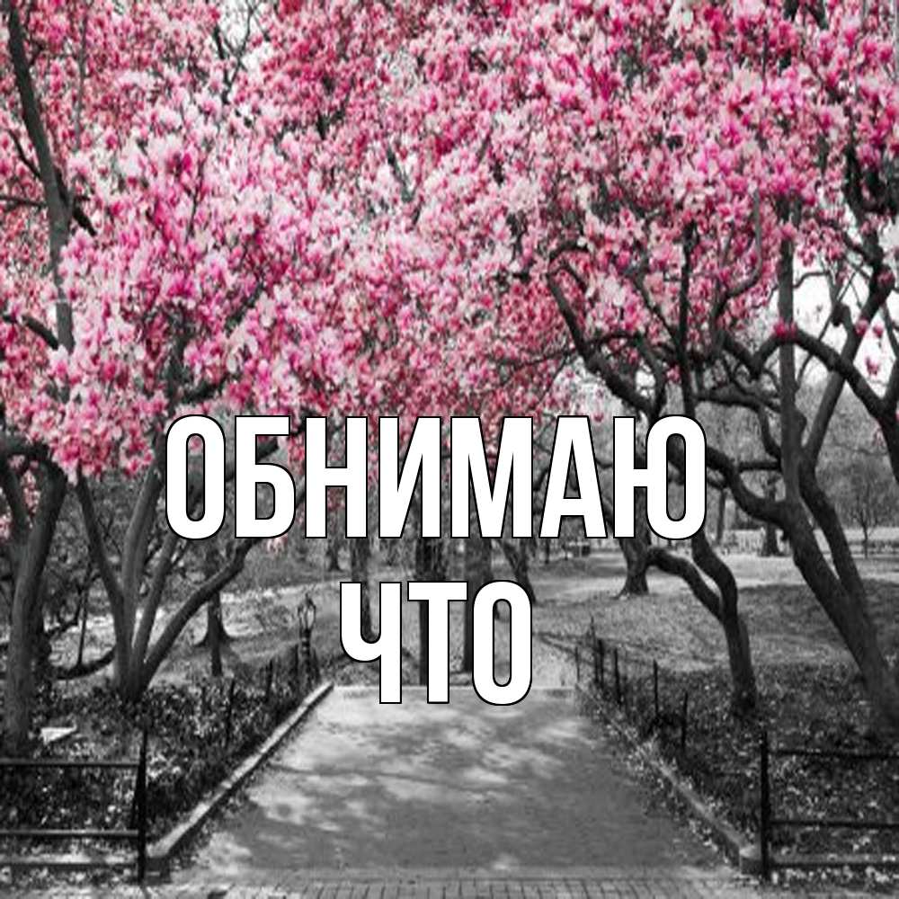 Открытка  с именем. Что, Обнимаю  