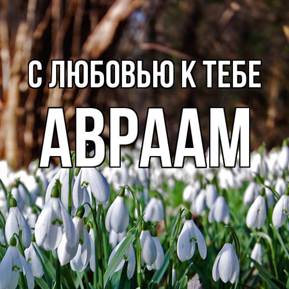 Открытка  с именем. Авраам, С любовью к тебе  