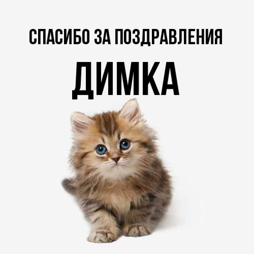 Открытка  с именем. ДИМКА, Спасибо за поздравления  