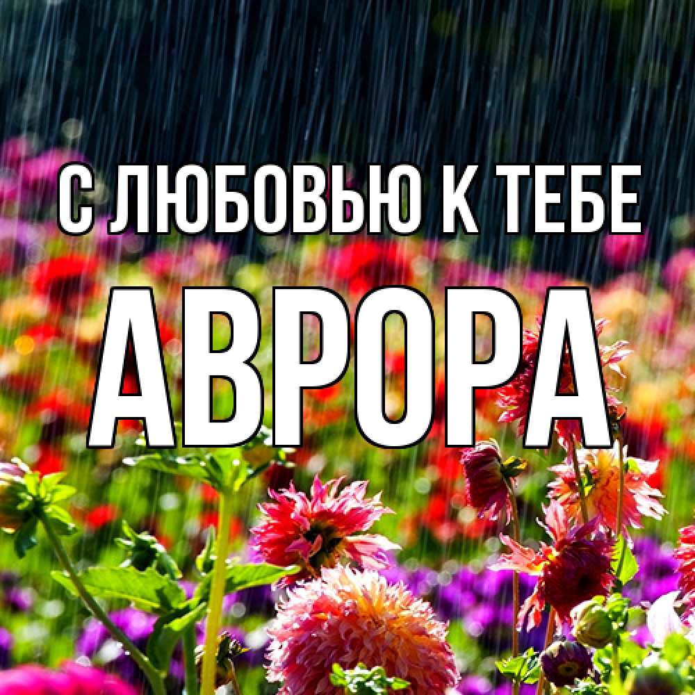 Открытка  с именем. Аврора, С любовью к тебе  