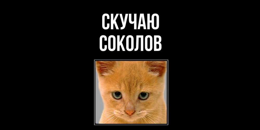 Открытка  с именем. Соколов, Скучаю  