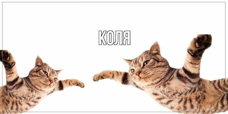Картинка  с именем , коля