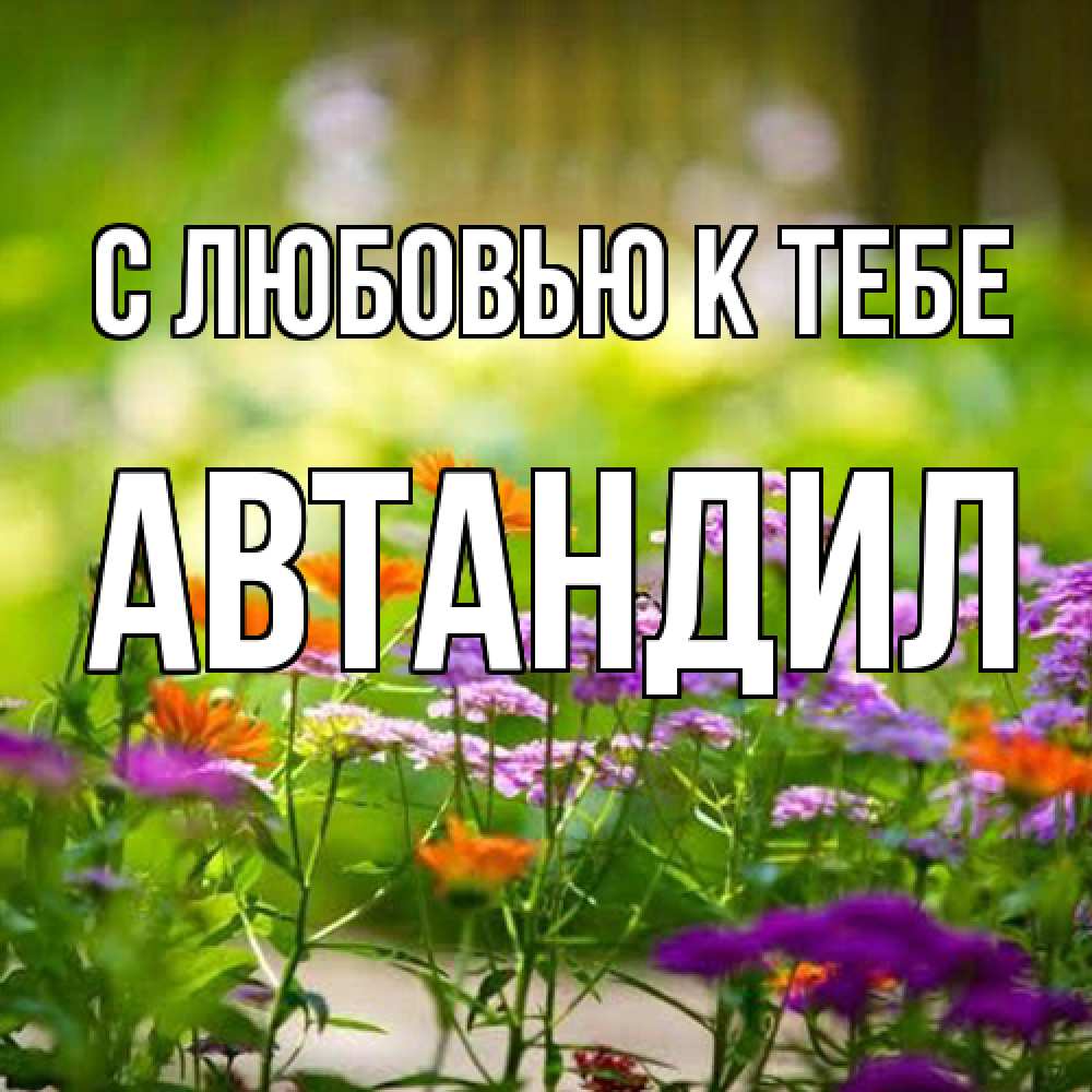 Открытка  с именем. Автандил, С любовью к тебе  