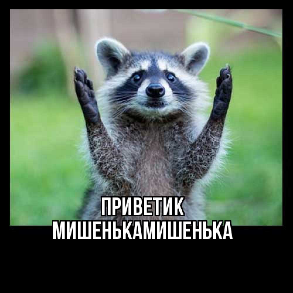 Открытка  с именем. МишенькаМишенька, приветик  