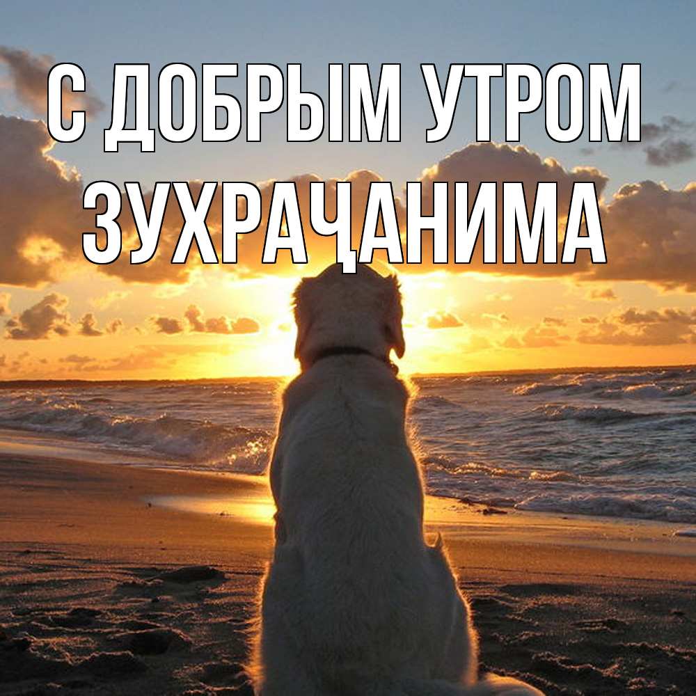 Открытка  с именем. Зухраҷанима, С добрым утром  