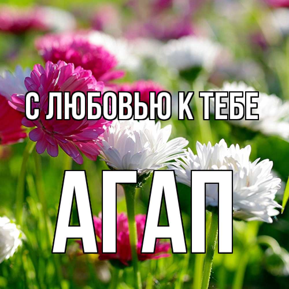 Открытка  с именем. Агап, С любовью к тебе  