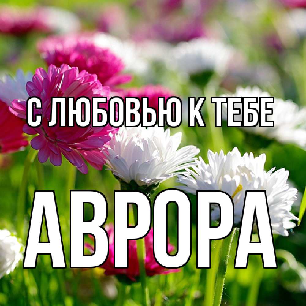 Открытка  с именем. Аврора, С любовью к тебе  