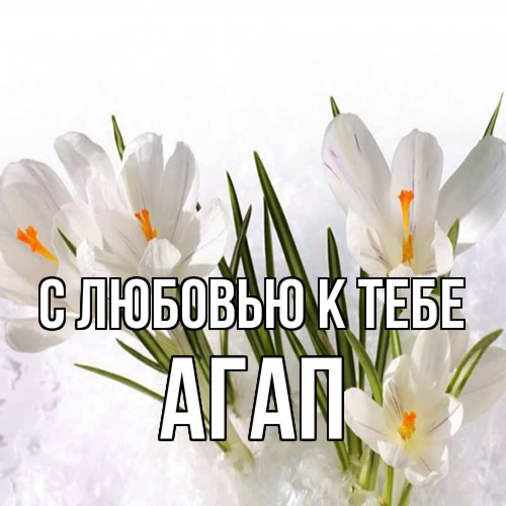 Открытка  с именем. Агап, С любовью к тебе  