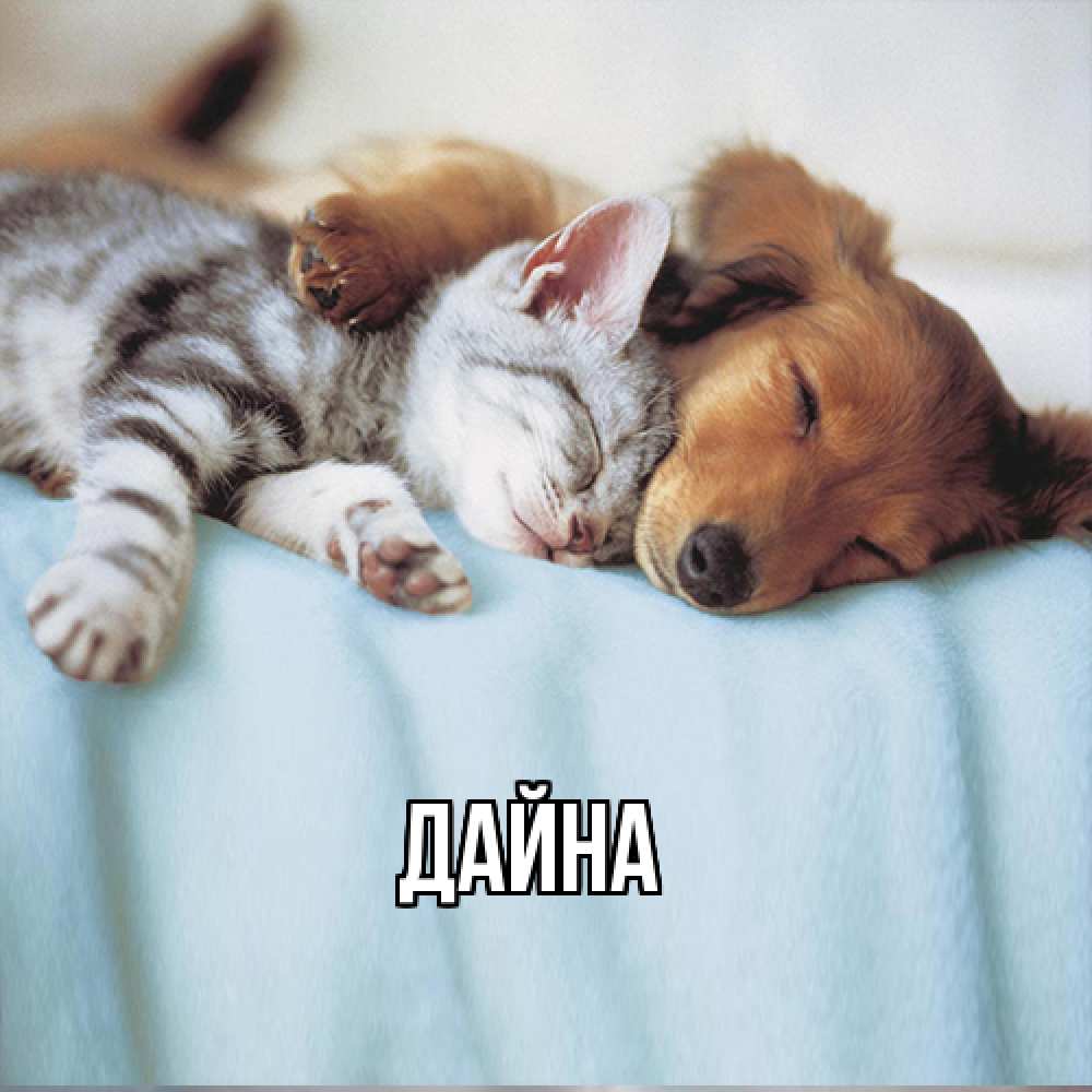 Открытка  с именем. Дайна, Главная  
