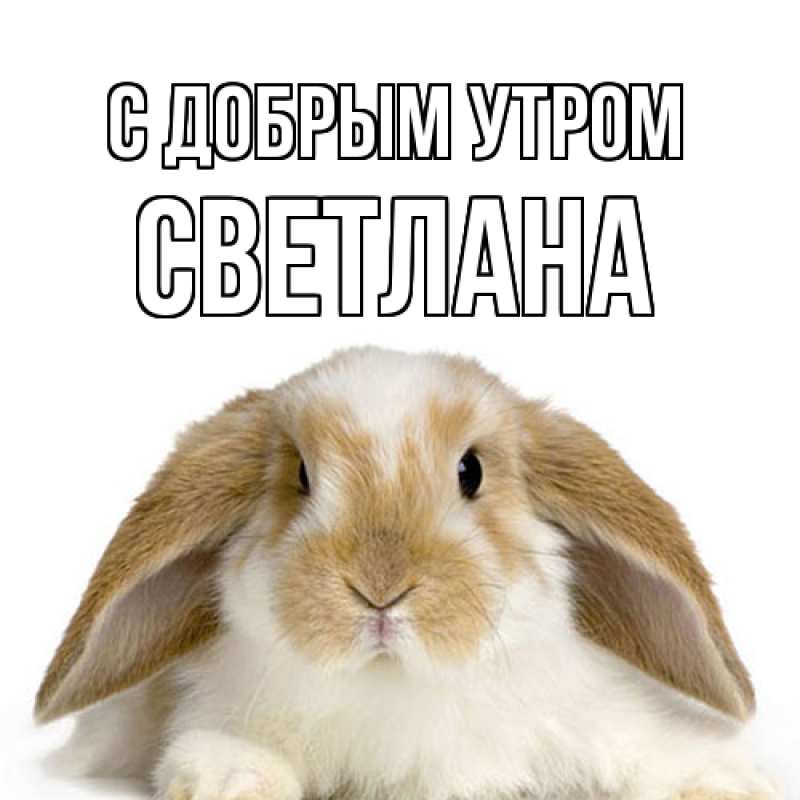 Картинка С добрым утром, Светлана