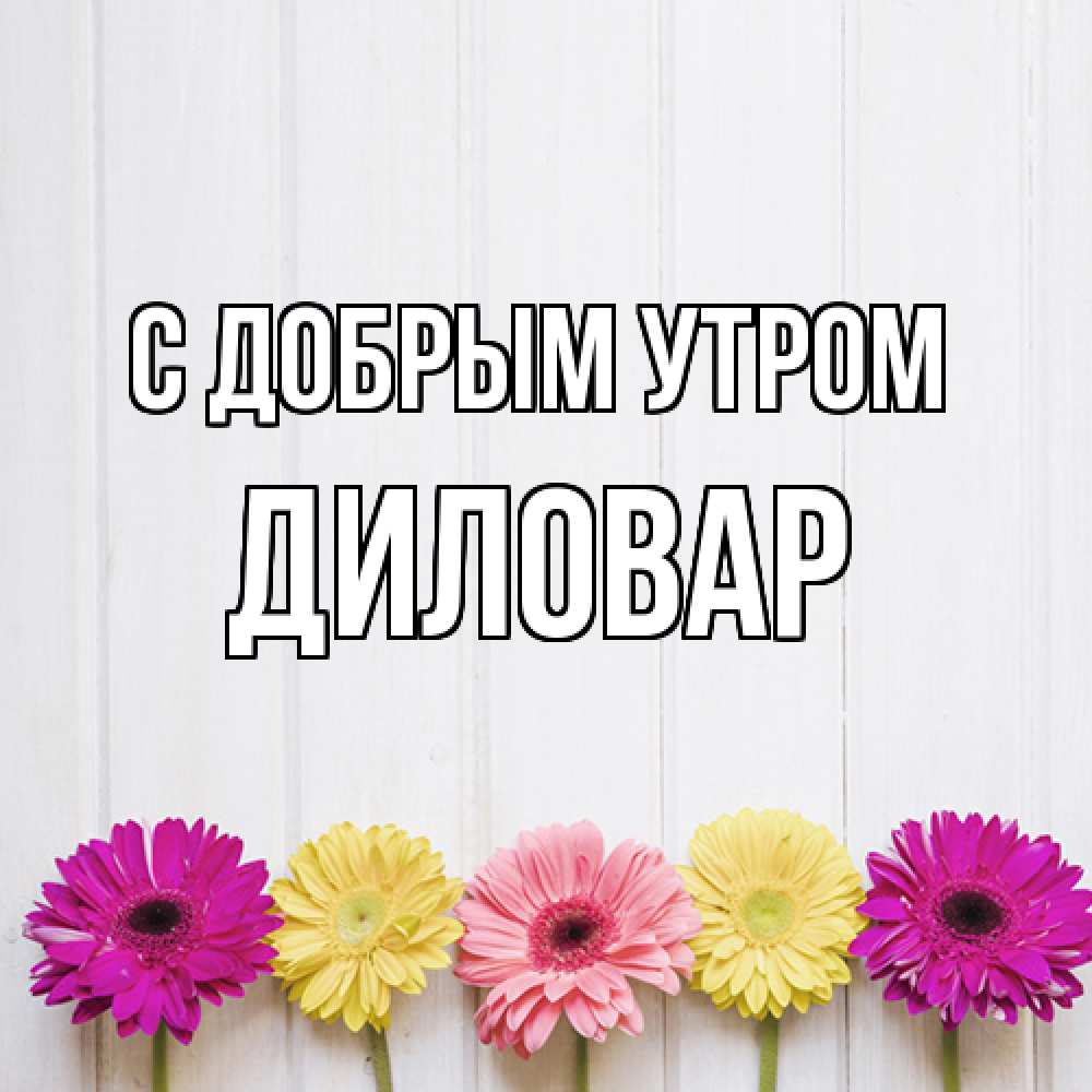 Открытка  с именем. Диловар, С добрым утром  
