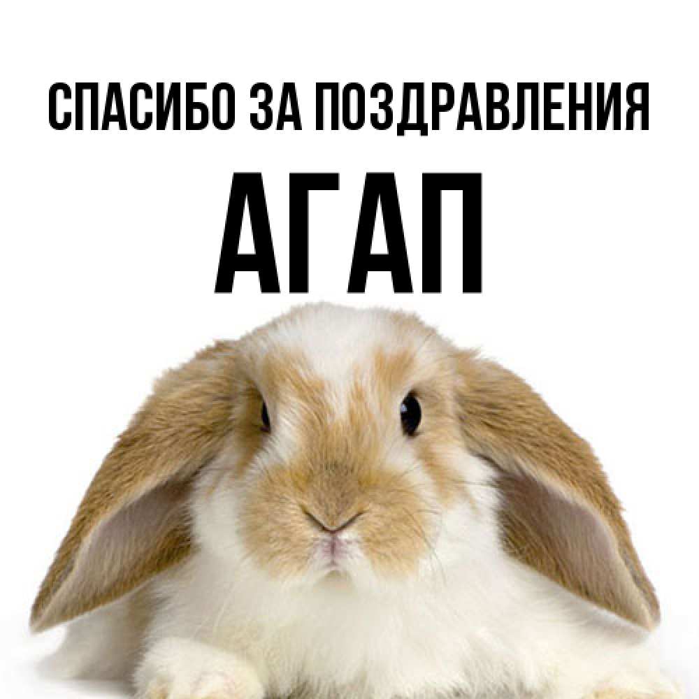Открытка  с именем. Агап, Спасибо за поздравления  