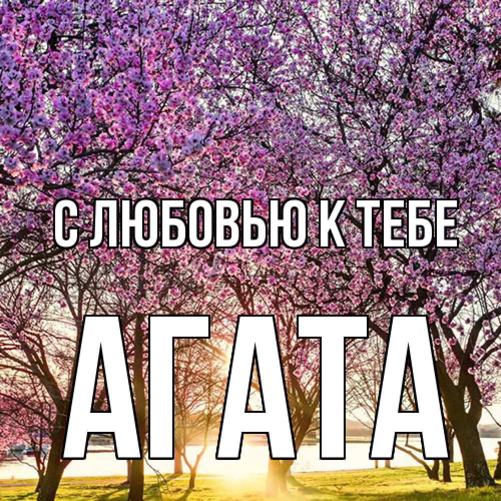 Открытка  с именем. Агата, С любовью к тебе  