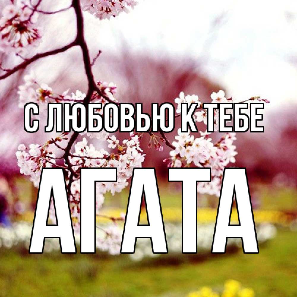 Открытка  с именем. Агата, С любовью к тебе  
