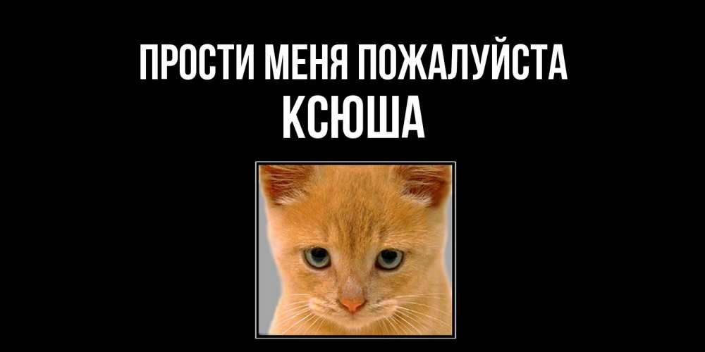 Открытка  с именем. Ксюша, Прости меня пожалуйста  