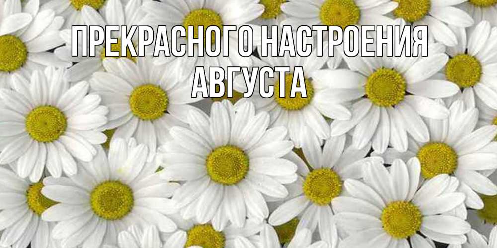 Открытка  с именем. Августа, Прекрасного настроения  