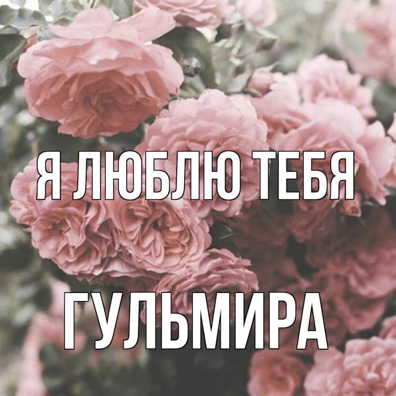 Картинка Я люблю тебя, Гульмира