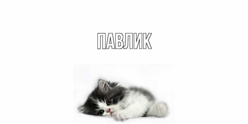 Картинка  с именем , Павлик