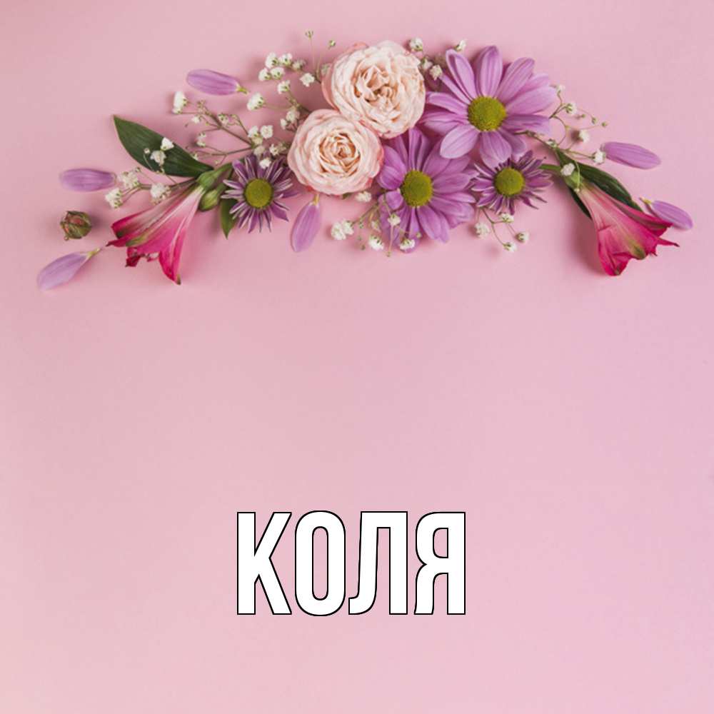 Открытка  с именем. коля, Главная  
