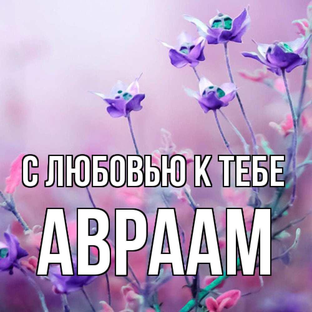 Открытка  с именем. Авраам, С любовью к тебе  