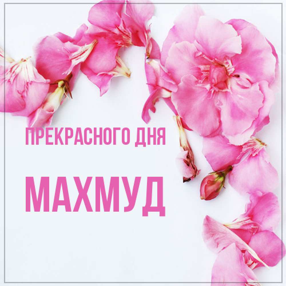 Открытка  с именем. Махмуд, Прекрасного дня  