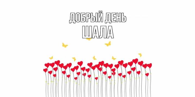 Картинка Добрый день, Шала